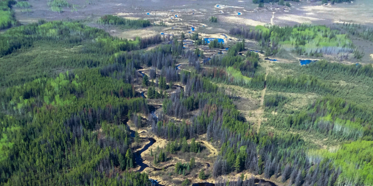 boreal wetlands aerial view