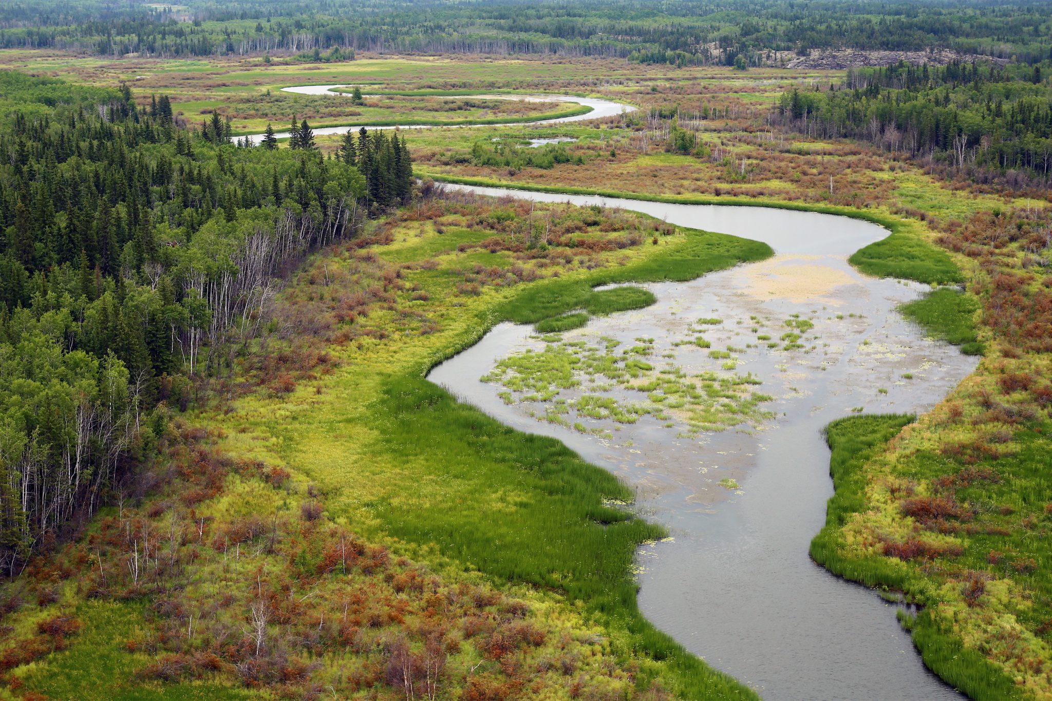 nwt wetlands