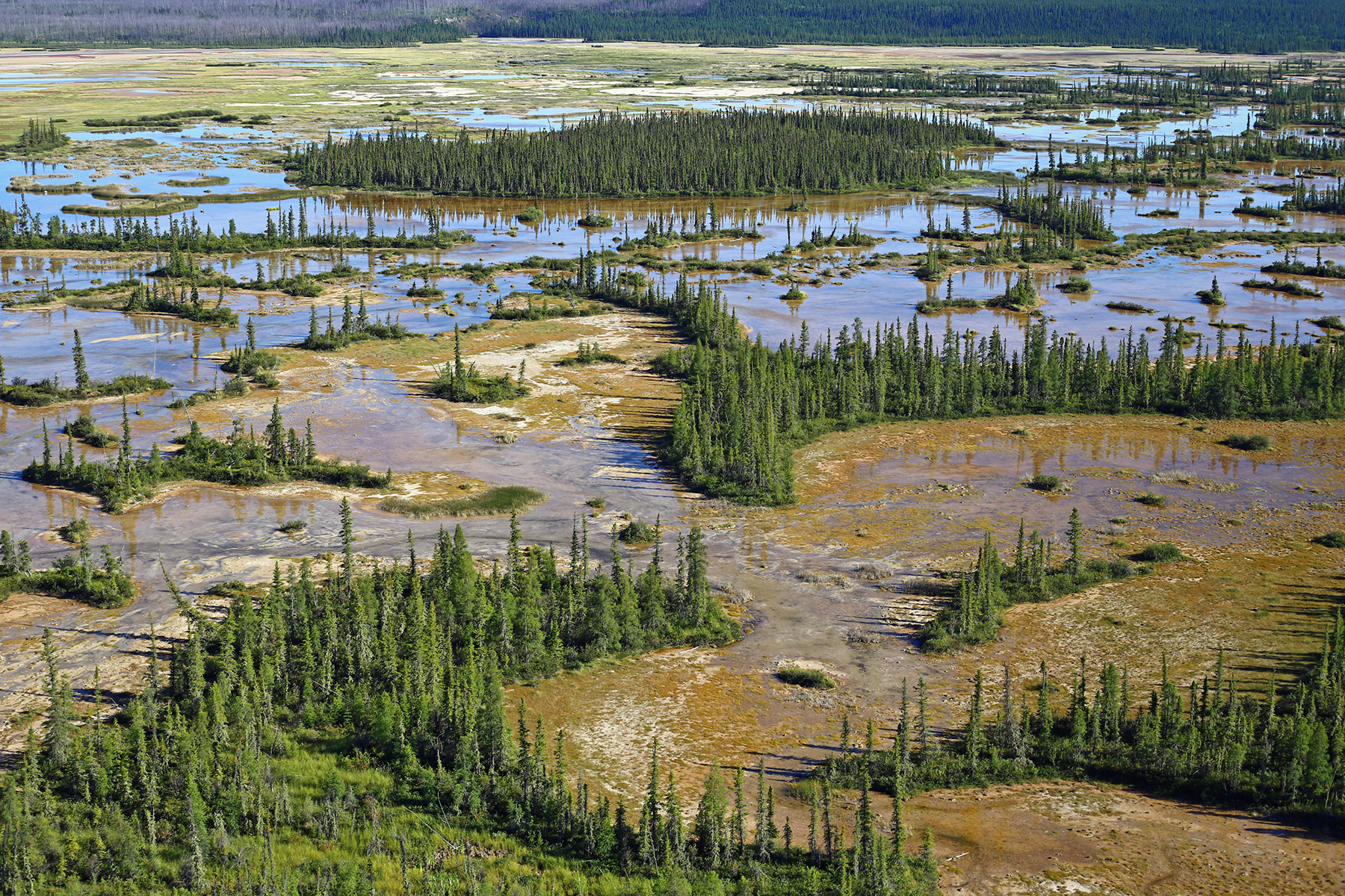 boreal-wetlands-canada