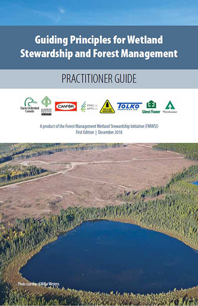 guiding principles for wetland stewardship and forest management practitioner guide