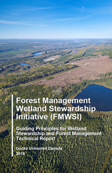 guiding principles for wetland stewardship and forest management technical report