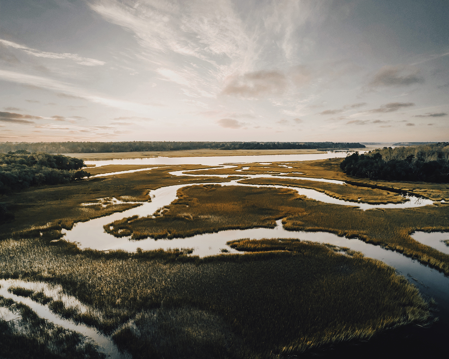 boreal wetland management