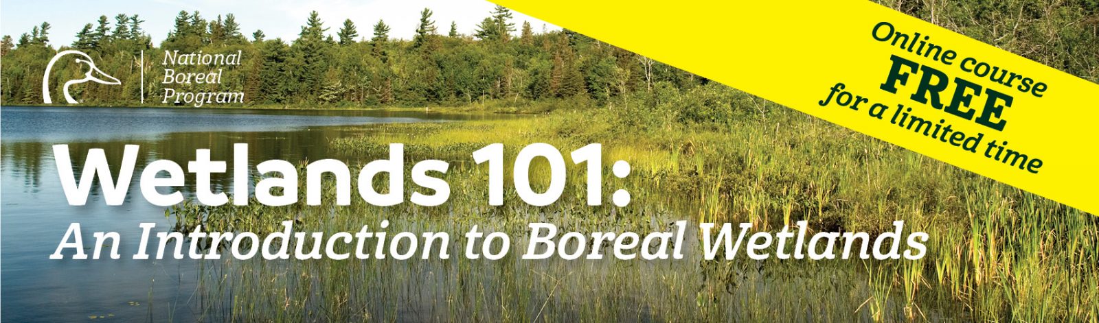 free-wetlands-course