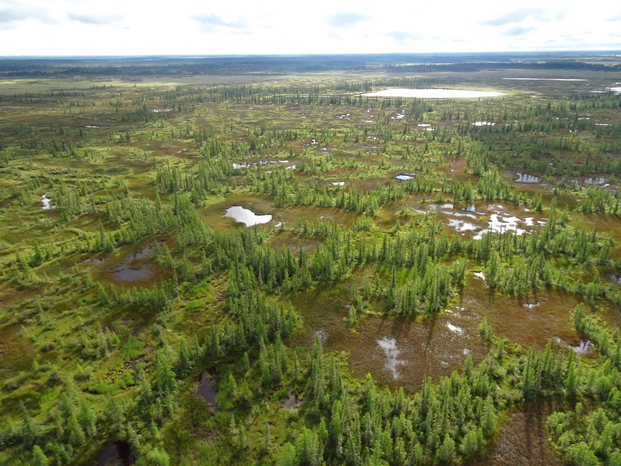 A complex of wetlands in Wood Buffalo National Park.