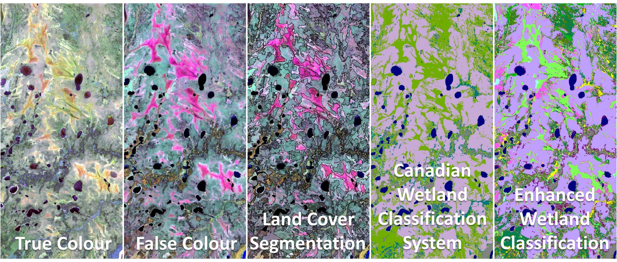 Visual Workflow for Enhanced Wetland Classification. (Left to right) True colour, false colour, land cover segmentation, Canadian Wetland Classification System, and Enhanced Wetland Classification.