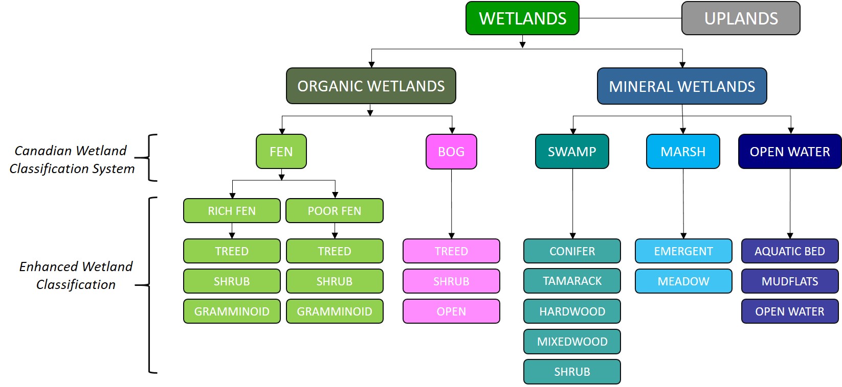 Hierarchal classification structure for the Canadian Wetland Classification System and Enhanced Wetland Classification.