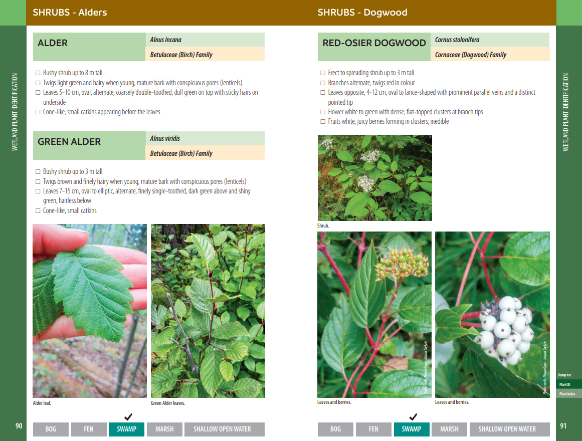 ABoVE: Wetland Type, SRD and PAD, Canada, 2007 & 2017