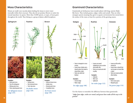 yukon wetland field guide