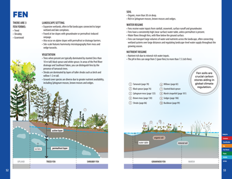 yukon wetland field guide