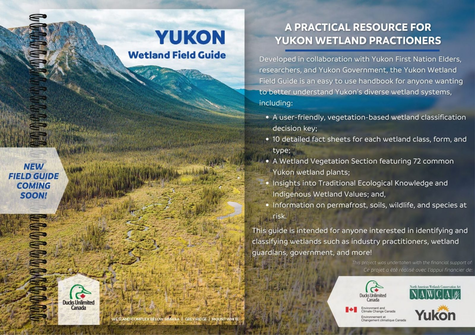 yukon wetland field guide