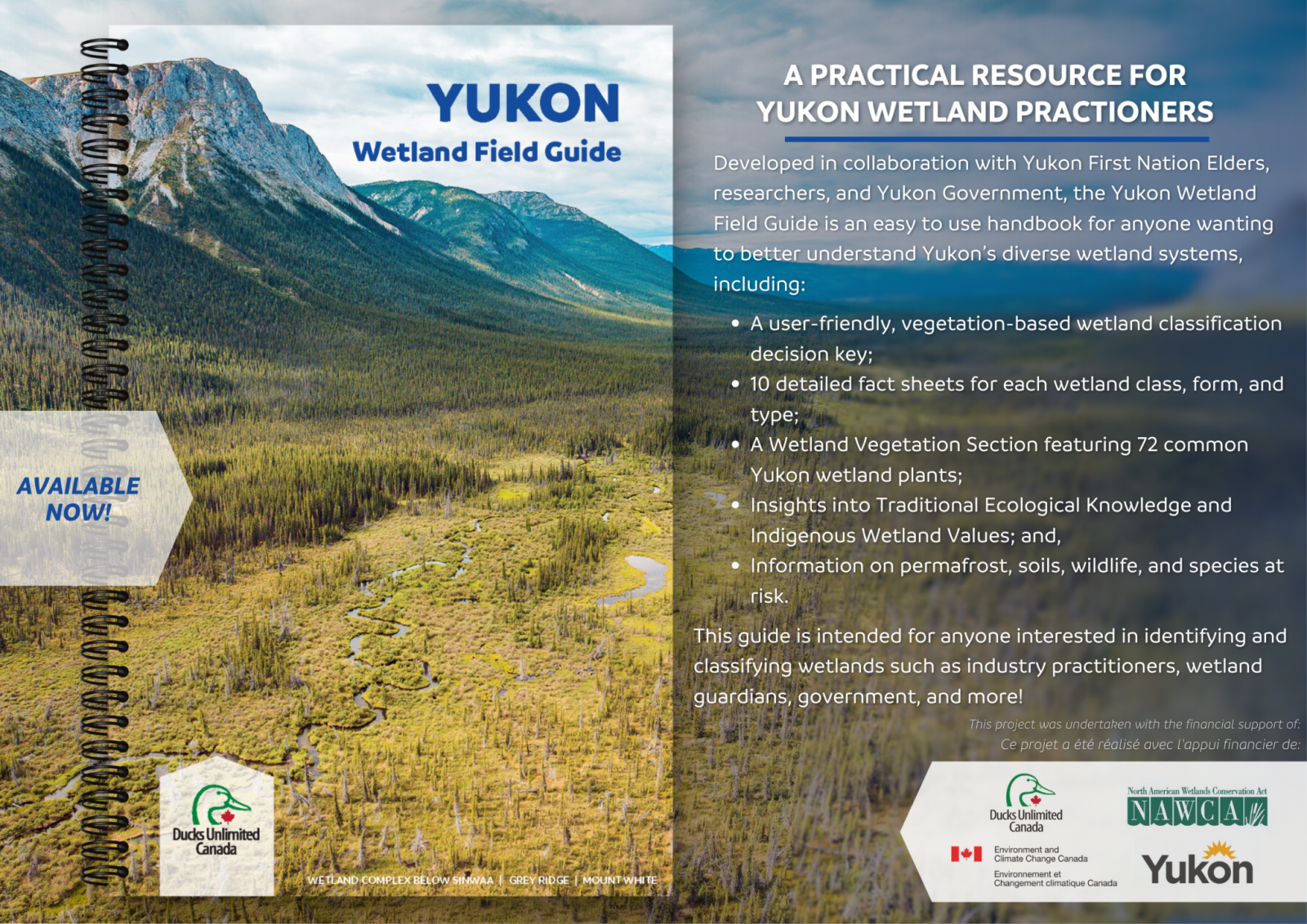 Yukon Wetland Field Guide