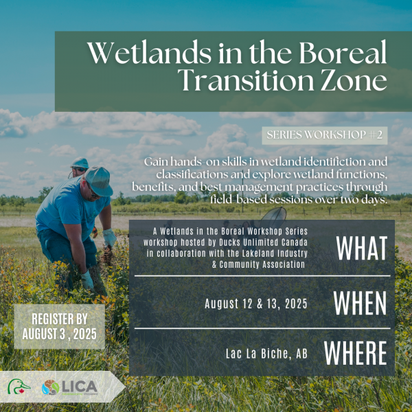 Wetlands Boreal Transition Zone (LICA) workshop