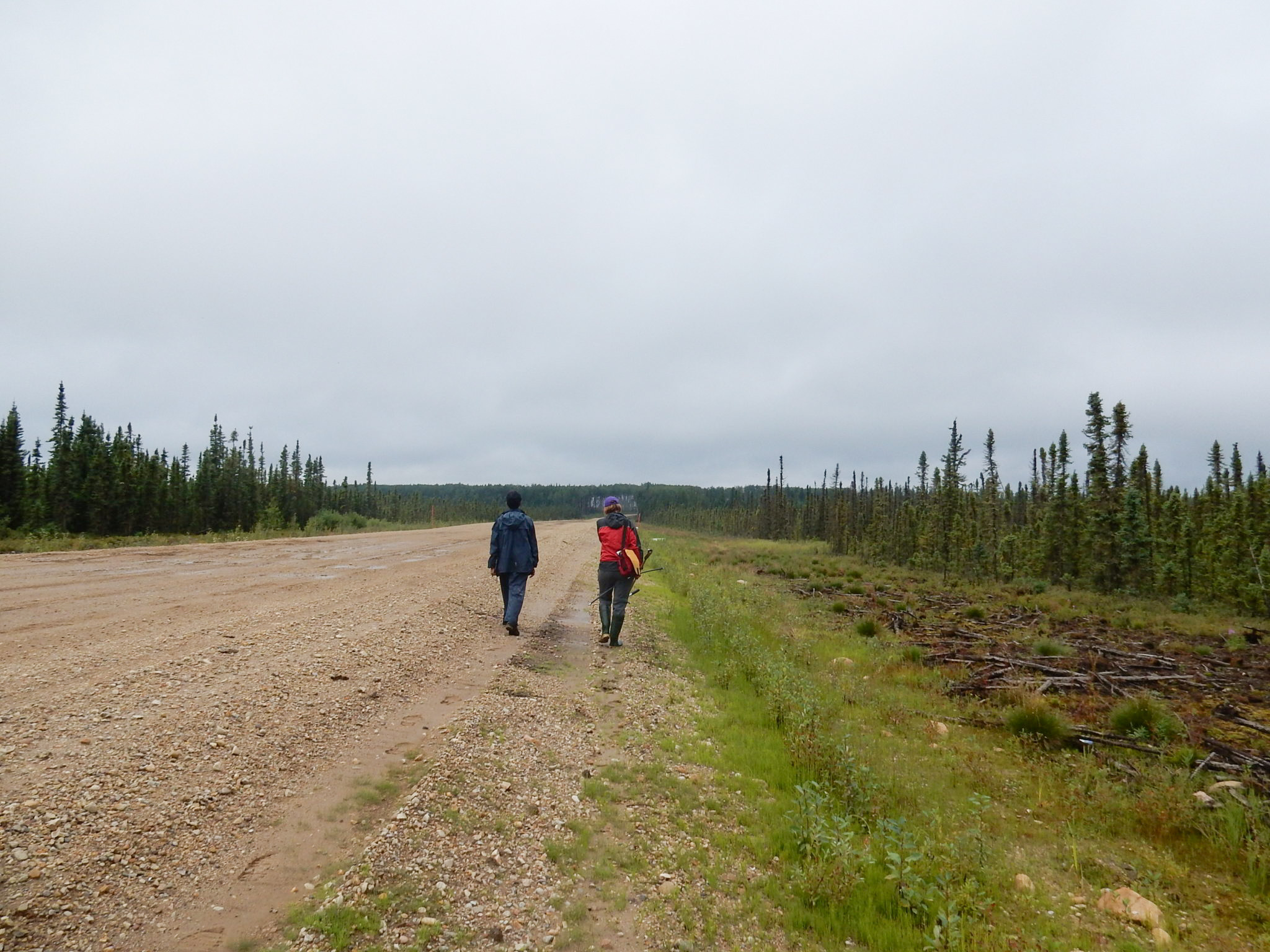 Ducks Unlimited Canada National Boreal Program BMP_resource roads and