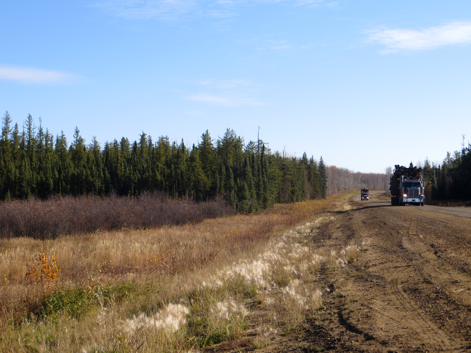 Ducks Unlimited Canada National Boreal Program Industry_Logging truck
