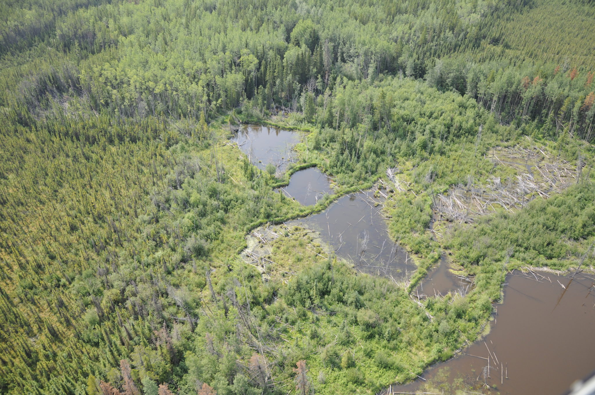 Ducks Unlimited Canada National Boreal Program feature_box_1_news