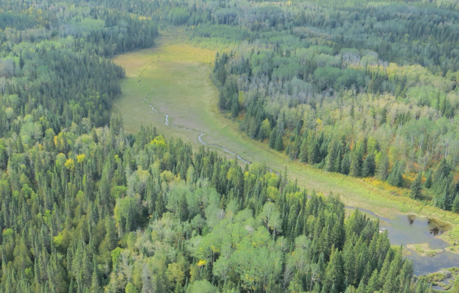 kapuskasing ontario wetlands