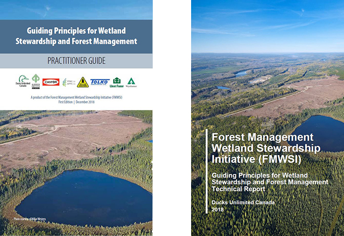 boreal wetlands forest management guides