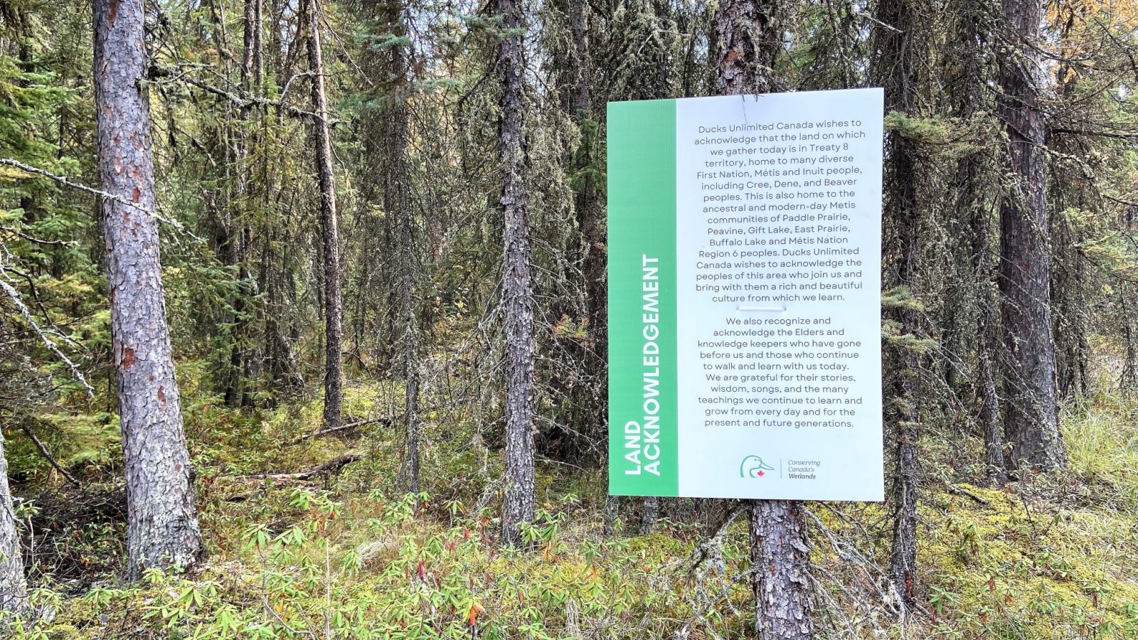 Land Acknowledgement at Wetland Centre