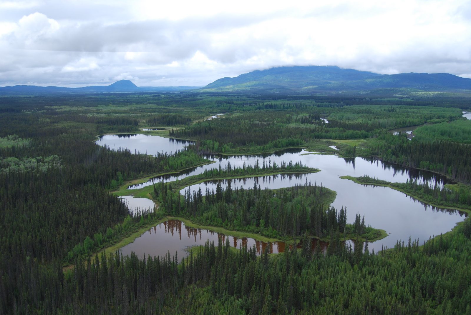 MacMillan River and wetland complex in Yukon; image taken during fieldwork completed by Ducks Unlimited Canada